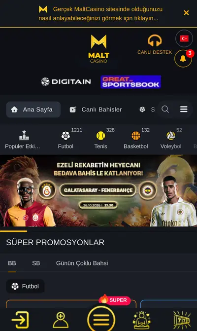 Maltcasino giriş sayfası